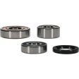 Pivot Works Triumph Wheel Bearing Kit Premium Bearings For Sale