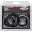 Pivot Works TM Wheel Bearing Kit Premium Bearings on Sale