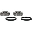 Pivot Works TM Wheel Bearing Kit Premium Bearings on Sale